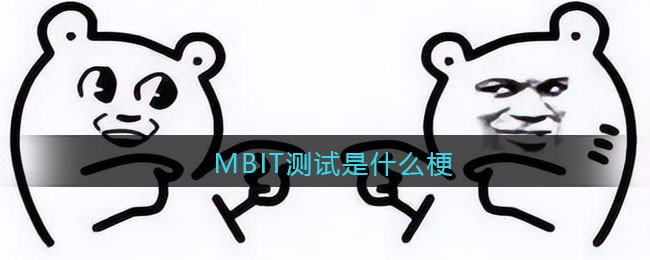 MBIT测试是什么梗