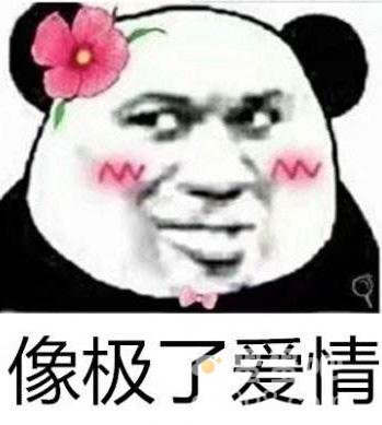 ddlg是什么意思