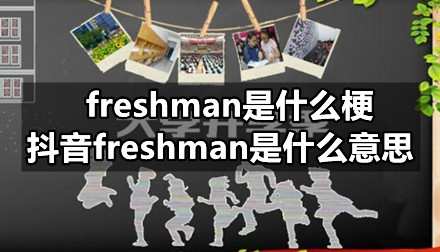 freshman是什么梗，抖音freshman是什么意思