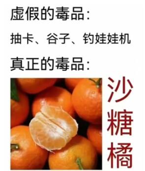 砂糖橘是什么梗