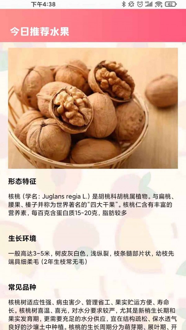 西瓜对对碰