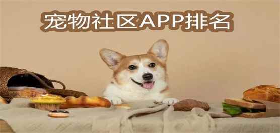 波奇宠物app安卓版-宠物社区app有哪些